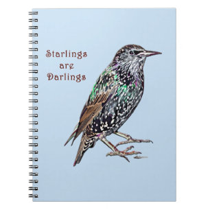 Carnet Les Starlings Sont Des Darlings