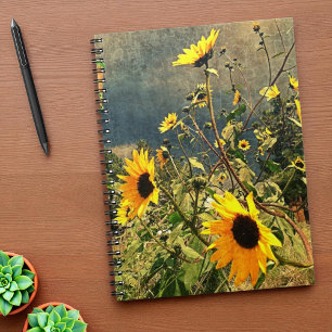Carnet Les Tournesols Avant Les Nuages De Tempête