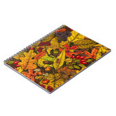 Carnet Les trésors d'automne (Côté gauche)