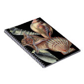 Carnet Les trésors de la mer (Côté Droit)