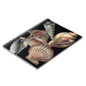 Carnet Les trésors de la mer (Côté gauche)