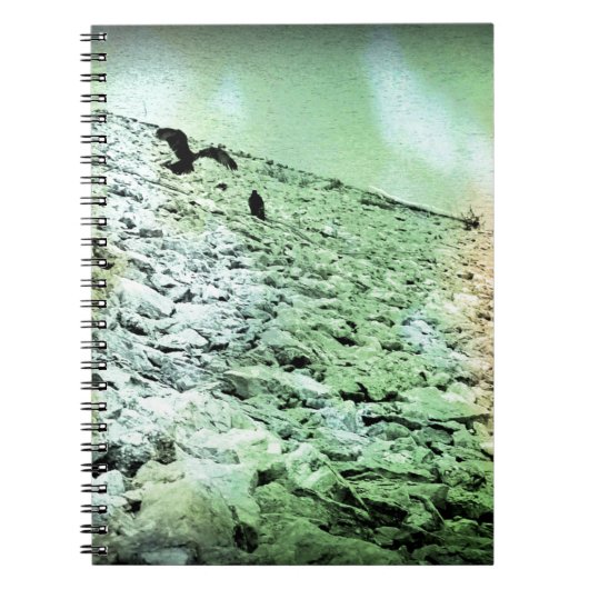 Carnet Les vautours du lac (Devant)