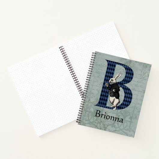 CARNET LETTRE BLANCHE BLANCHE DE ROBE BALLOUE B (Intérieur)