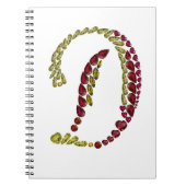 CARNET LETTRE INITIALE D GEMKE (Devant)