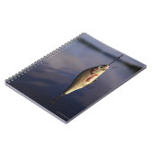 Carnet leurre de pêche devant l'eau (Côté gauche)