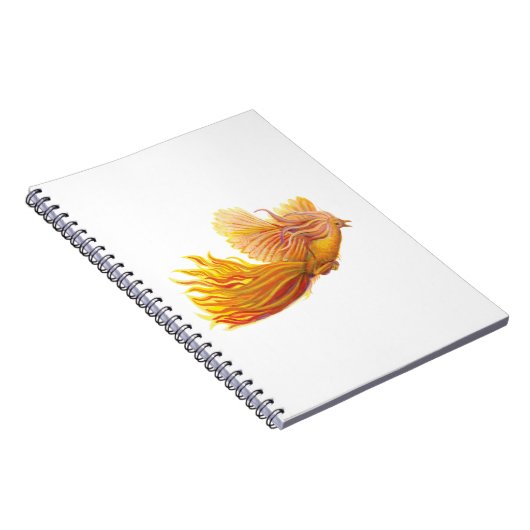 Carnet Levée d'oiseaux Phoenix (Côté Droit)