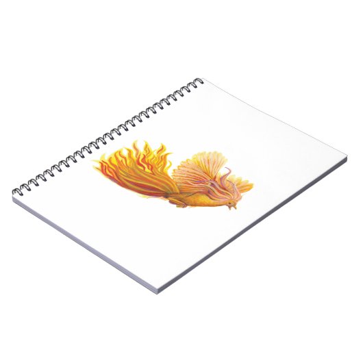 Carnet Levée d'oiseaux Phoenix (Côté gauche)