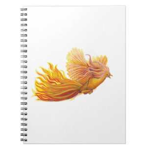Carnet Levée d'oiseaux Phoenix