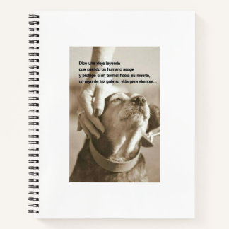 Carnet Leyenda sobre adoptar