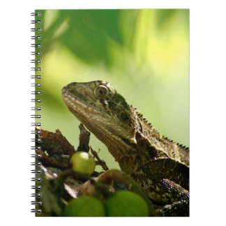 Carnet Lézard australien se cachant entre le feuille,