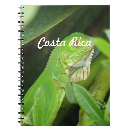 Carnet Lézard de Rican de côte (Devant)