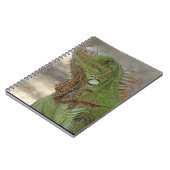 Carnet Lézard Lounging (Côté gauche)