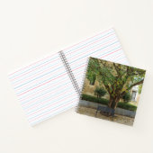 Carnet Li Garden Series: Echoes Beneath the Tree (Intérieur)