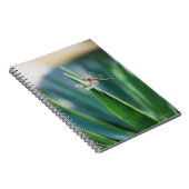 Carnet libellule (Côté Droit)