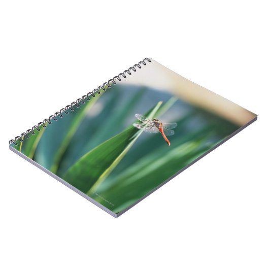 Carnet libellule (Côté gauche)