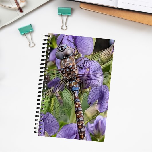 Carnet Libellule Aeshne à yeux bleus sur fleur