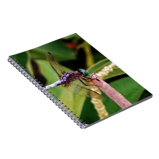 Carnet libellule avec fleurs blanches (Côté Droit)