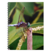 Carnet libellule avec fleurs blanches (Devant)