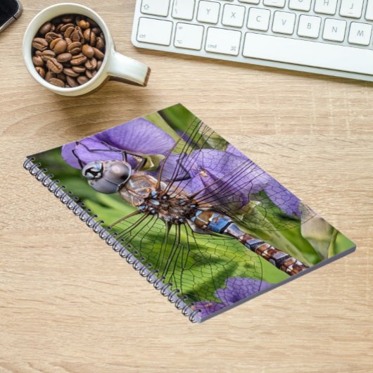 Carnet Libellule Darner aux Yeux Bleus sur Fleur