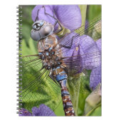Carnet Libellule Darner aux Yeux Bleus sur Fleur (Devant)