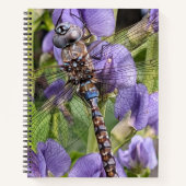 Carnet Libellule Darner aux Yeux Bleus sur Fleur (Devant)