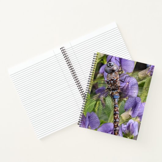 Carnet Libellule Darner aux Yeux Bleus sur Fleur (Intérieur)