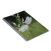 Carnet Libellule Darner couverte de rosée (Côté Droit)