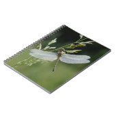Carnet Libellule Darner couverte de rosée (Côté gauche)