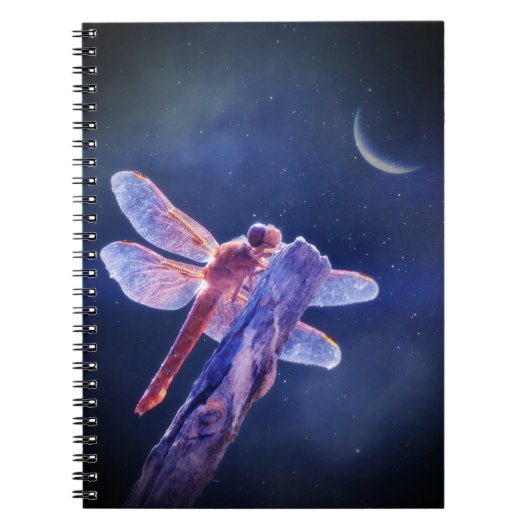 Carnet libellule et lune (Devant)