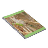 Carnet Libellule verte I1 (Côté Droit)