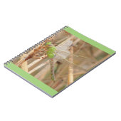 Carnet Libellule verte I1 (Côté gauche)