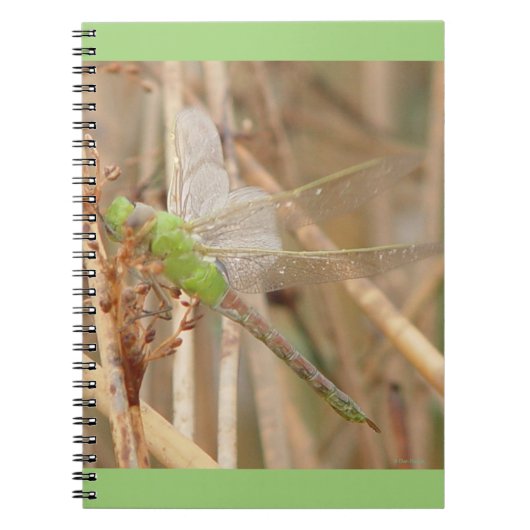 Carnet Libellule verte I1 (Devant)