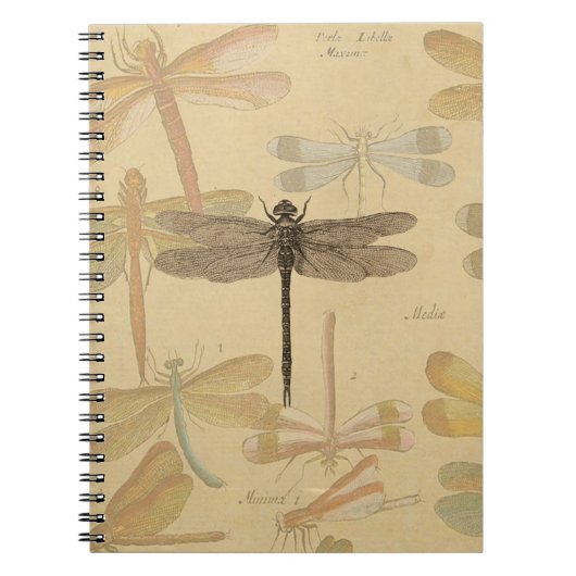 Carnet Libellule Vintage Antique Classique Nature (Devant)