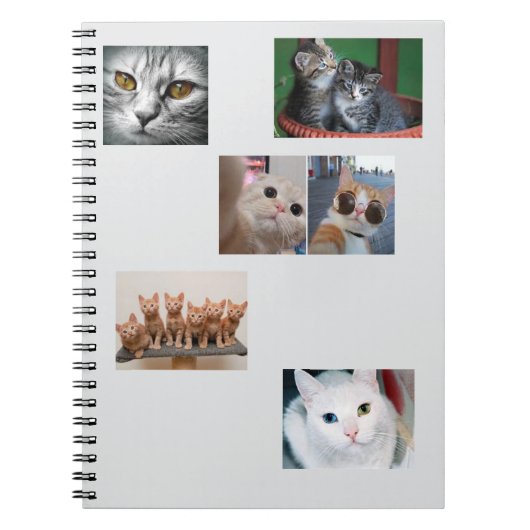 Carnet Libro de Gatos (Devant)