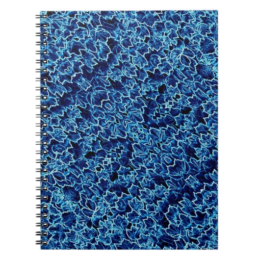 Carnet Lierre Bleu Glaçé Cool (Devant)