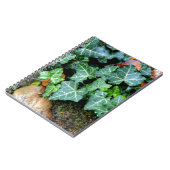 Carnet Lierre botanique vert et pierre de champ (Côté gauche)
