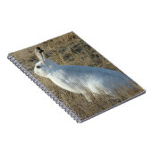 Carnet Lièvre d'Amérique R25 (Côté Droit)