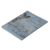 Carnet Lièvre de raquettes R23 (Côté gauche)