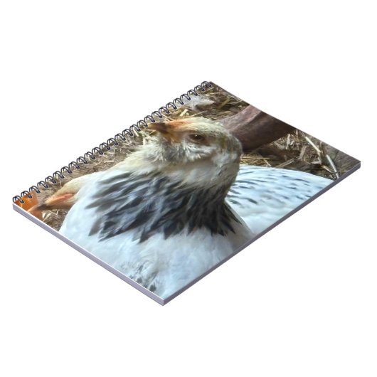 Carnet Light Brahma CHicken Notebook (Côté gauche)