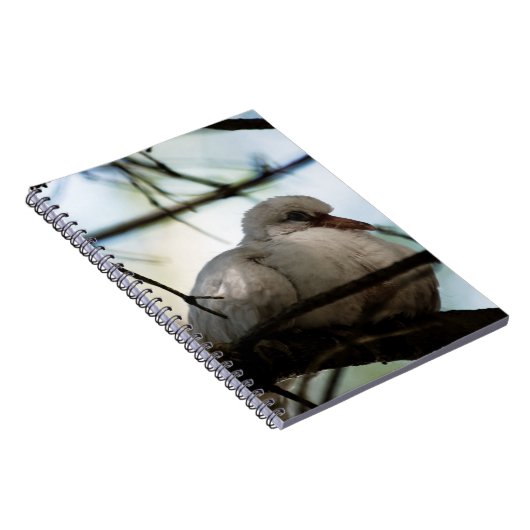 Carnet Ligne principale (Côté Droit)