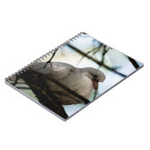 Carnet Ligne principale (Côté gauche)