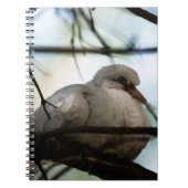 Carnet Ligne principale (Devant)