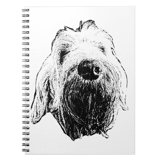 Carnet Lignes de fidélité : Spinone (Devant)