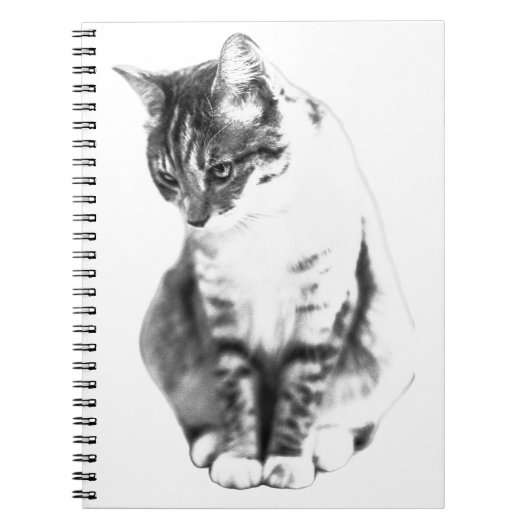 Carnet Lignes de grâce tranquille (Devant)