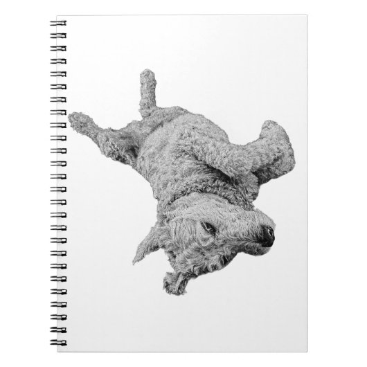 Carnet Lignes légères (Devant)