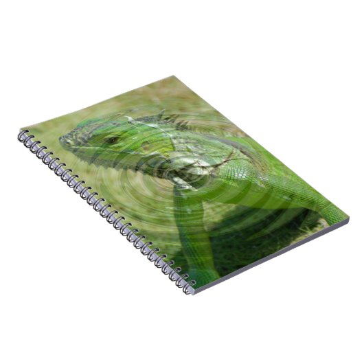 Carnet L'Iguana verte (Côté Droit)