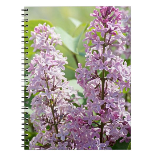 Carnet Lilac P5390 (Devant)
