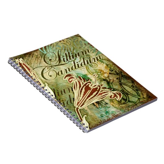 Carnet Lillium candidum (Côté Droit)