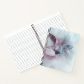 Carnet Lilly (Intérieur)