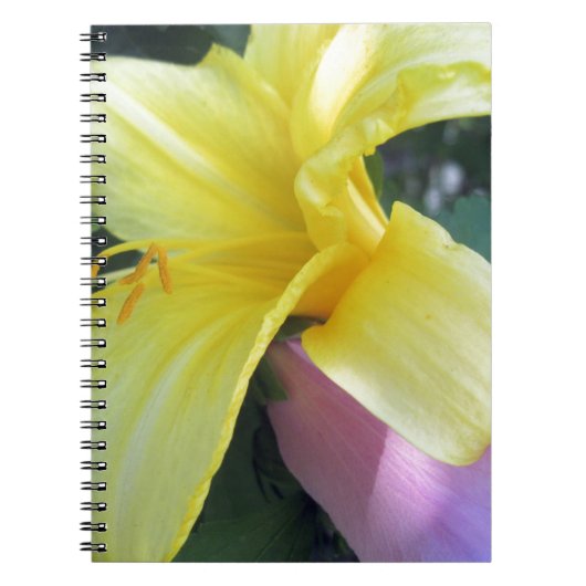 Carnet Lily jaune (Devant)